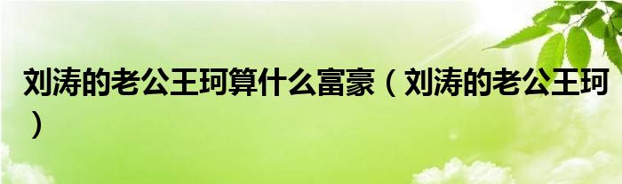 刘涛的老公王珂算什么富豪（刘涛的老公王珂）