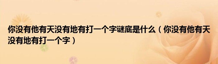 你没有他有天没有地有打一个字谜底是什么（你没有他有天没有地有打一个字）