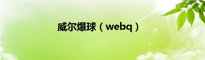 威尔爆球（webq）