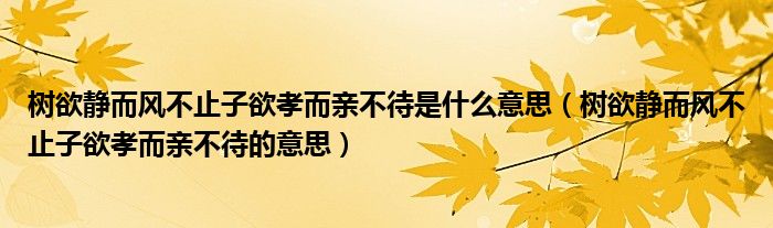 树欲静而风不止子欲孝而亲不待是什么意思（树欲静而风不止子欲孝而亲不待的意思）