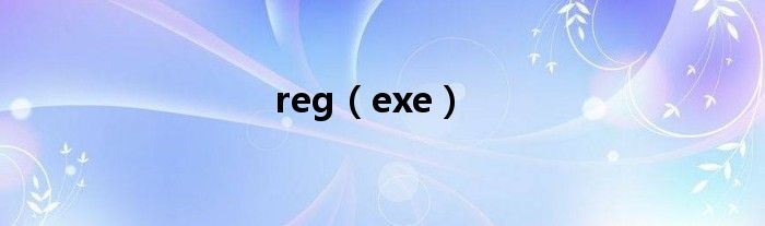 reg（exe）