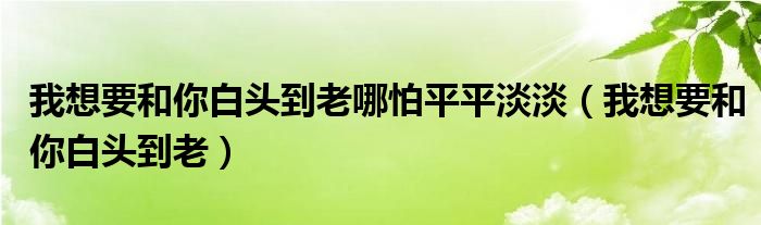 我想要和你白头到老哪怕平平淡淡（我想要和你白头到老）