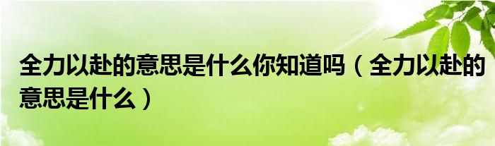 全力以赴的意思是什么你知道吗（全力以赴的意思是什么）