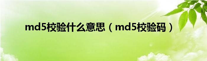 md5校验什么意思（md5校验码）