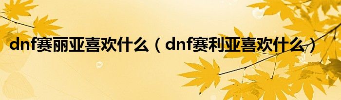 dnf赛丽亚喜欢什么（dnf赛利亚喜欢什么）