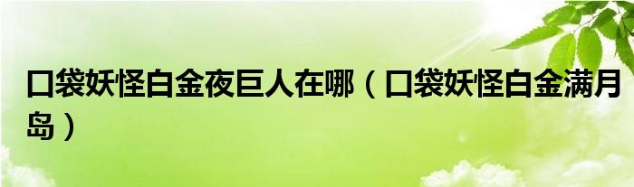 口袋妖怪白金夜巨人在哪（口袋妖怪白金满月岛）