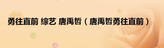 勇往直前 综艺 唐禹哲（唐禹哲勇往直前）