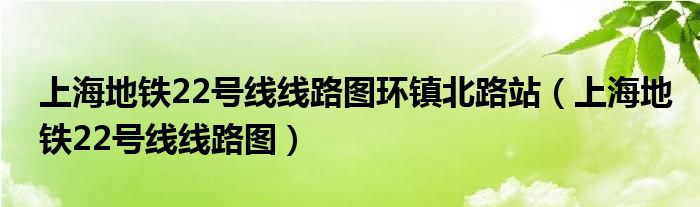 上海地铁22号线线路图环镇北路站（上海地铁22号线线路图）