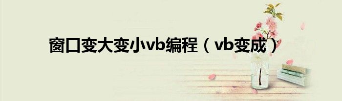 窗口变大变小vb编程（vb变成）