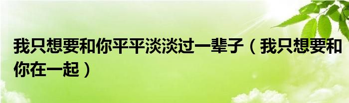 我只想要和你平平淡淡过一辈子（我只想要和你在一起）