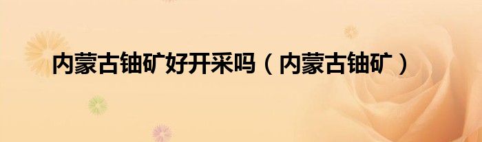 内蒙古铀矿好开采吗（内蒙古铀矿）