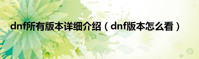 dnf所有版本详细介绍（dnf版本怎么看）