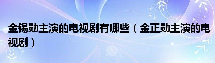 金锡勋主演的电视剧有哪些（金正勋主演的电视剧）