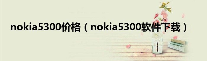 nokia5300价格（nokia5300软件下载）