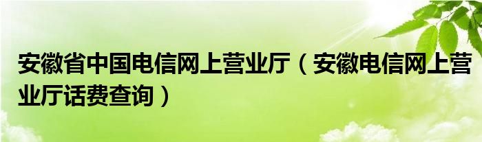 安徽省中国电信网上营业厅（安徽电信网上营业厅话费查询）