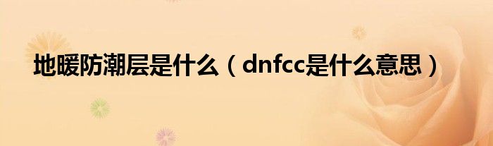 地暖防潮层是什么（dnfcc是什么意思）