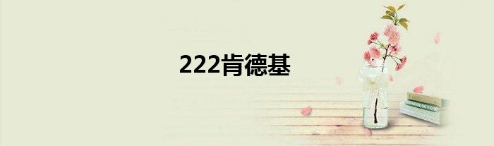 222肯德基