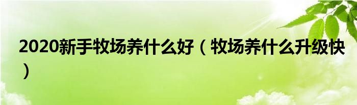 2020新手牧场养什么好（牧场养什么升级快）