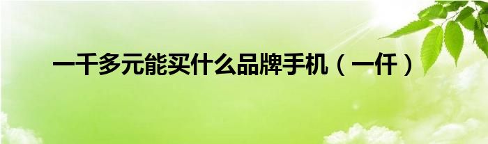 一千多元能买什么品牌手机（一仟）