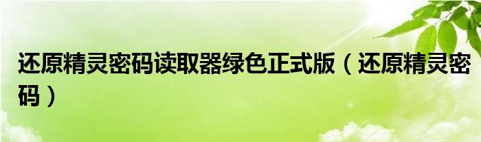 还原精灵密码读取器绿色正式版（还原精灵密码）