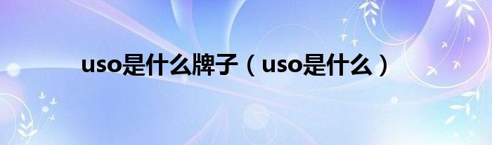 uso是什么牌子（uso是什么）