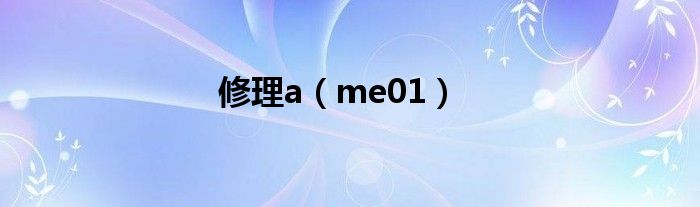 修理a（me01）