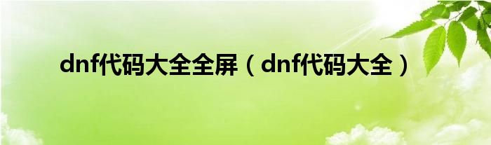 dnf代码大全全屏（dnf代码大全）