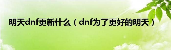 明天dnf更新什么（dnf为了更好的明天）