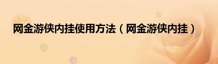 网金游侠内挂使用方法（网金游侠内挂）