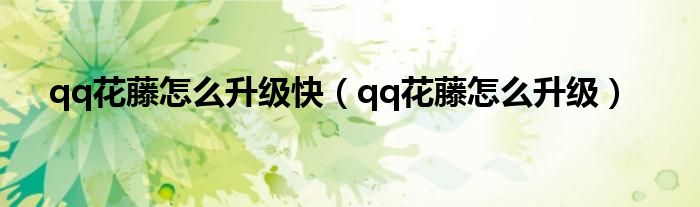 qq花藤怎么升级快（qq花藤怎么升级）