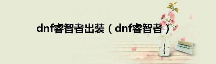 dnf睿智者出装（dnf睿智者）