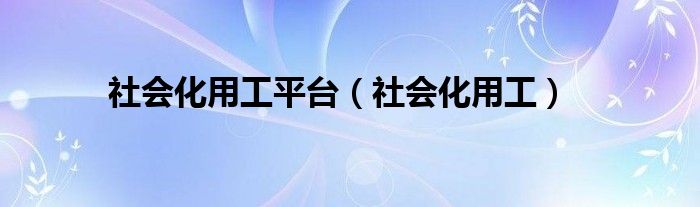 社会化用工平台（社会化用工）