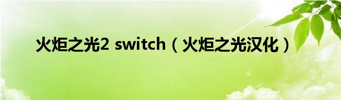 火炬之光2 switch（火炬之光汉化）