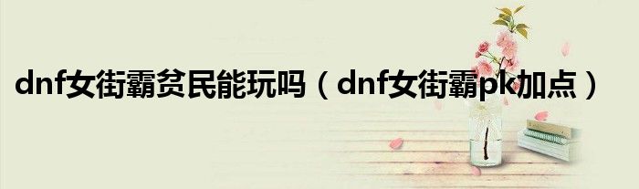 dnf女街霸贫民能玩吗（dnf女街霸pk加点）