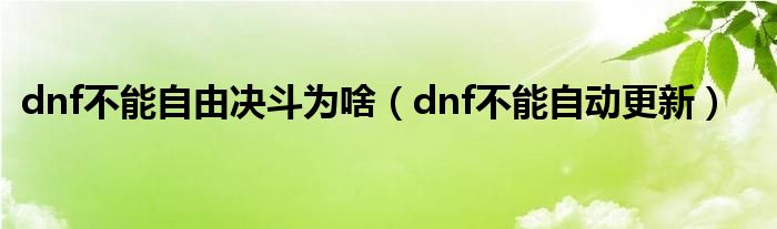 dnf不能自由决斗为啥（dnf不能自动更新）