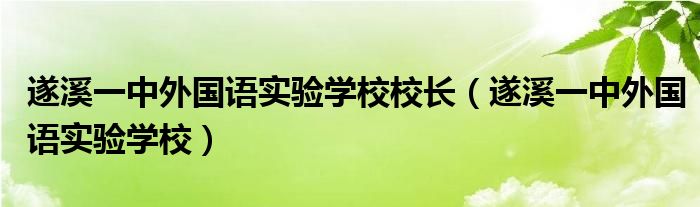 遂溪一中外国语实验学校校长（遂溪一中外国语实验学校）