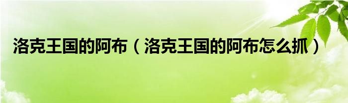 洛克王国的阿布（洛克王国的阿布怎么抓）