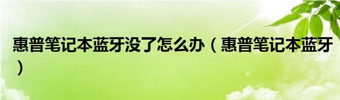 惠普笔记本蓝牙没了怎么办（惠普笔记本蓝牙）