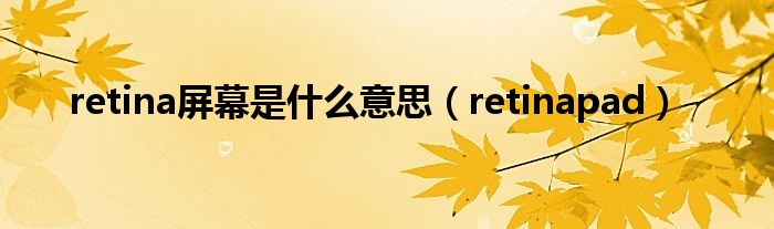 retina屏幕是什么意思（retinapad）