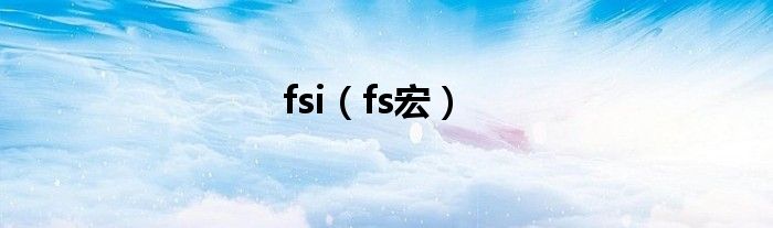 fsi（fs宏）