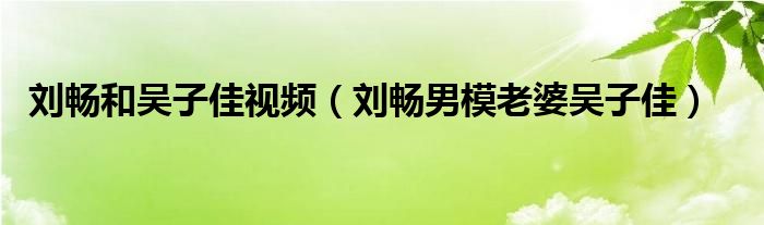 刘畅和吴子佳视频（刘畅男模老婆吴子佳）