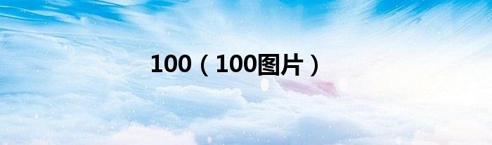 100（100图片）