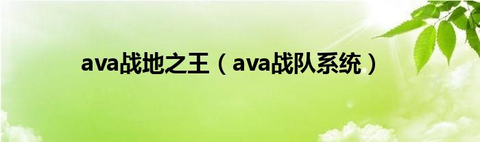 ava战地之王（ava战队系统）