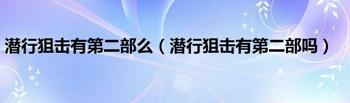 潜行狙击有第二部么（潜行狙击有第二部吗）