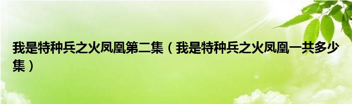 我是特种兵之火凤凰第二集（我是特种兵之火凤凰一共多少集）