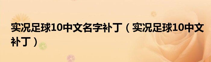 实况足球10中文名字补丁（实况足球10中文补丁）