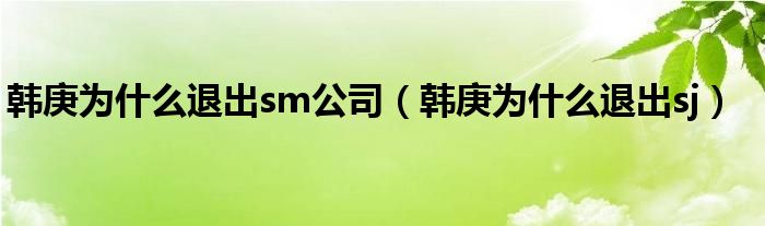 韩庚为什么退出sm公司（韩庚为什么退出sj）