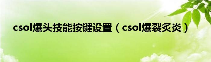 csol爆头技能按键设置（csol爆裂炙炎）