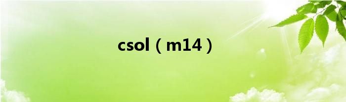 csol（m14）