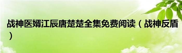 战神医婿江辰唐楚楚全集免费阅读（战神反盾）